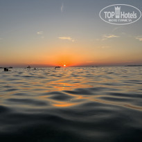 фото из отзыва ID 2384465