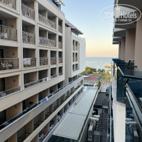 фото из отзыва ID 2384465