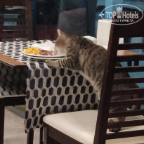 фото из отзыва ID 2384490