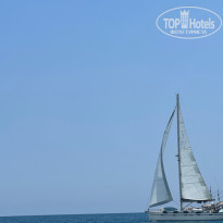 фото из отзыва ID 2384519