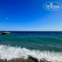 фото из отзыва ID 2384581