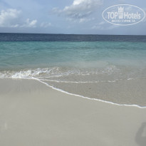 фото из отзыва ID 2384594