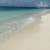 фото из отзыва ID 2384594