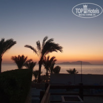 фото из отзыва ID 2384623