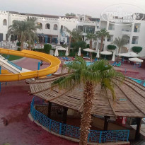 фото из отзыва ID 2384655