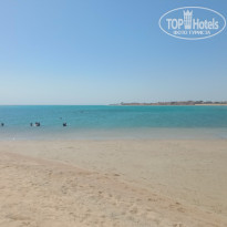 фото из отзыва ID 2384655