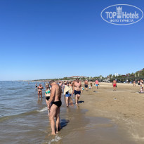 фото из отзыва ID 2384664