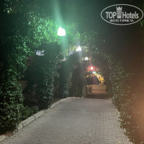 фото из отзыва ID 2384664