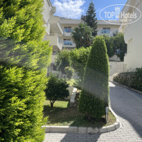 фото из отзыва ID 2384664