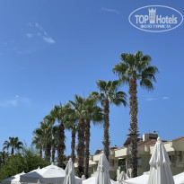 фото из отзыва ID 2384664