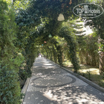 фото из отзыва ID 2384664