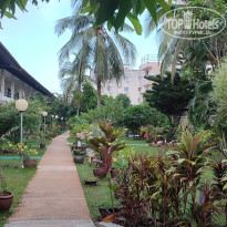 фото из отзыва ID 2384673