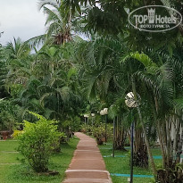 фото из отзыва ID 2384673