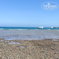 фото из отзыва ID 2384751