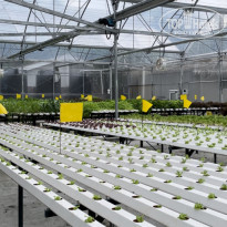 фото из отзыва ID 2384717