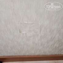 фото из отзыва ID 2384793