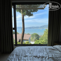 фото из отзыва ID 2384841