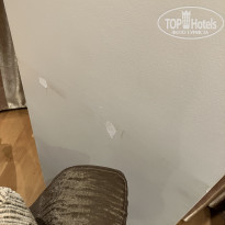 фото из отзыва ID 2384857