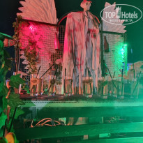 фото из отзыва ID 2384952