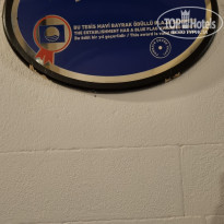 фото из отзыва ID 2384952