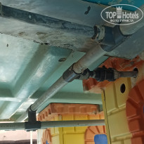 фото из отзыва ID 2384991