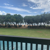 фото из отзыва ID 2384995