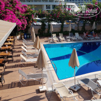 фото из отзыва ID 2385001