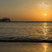 фото из отзыва ID 2385003