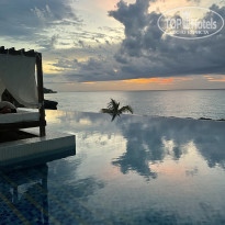 фото из отзыва ID 2385112