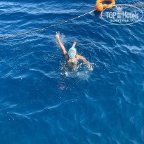 фото из отзыва ID 2385146