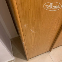 фото из отзыва ID 2385161