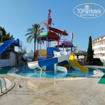 фото из отзыва ID 2385153