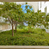 фото из отзыва ID 2385153