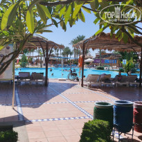 фото из отзыва ID 2385150