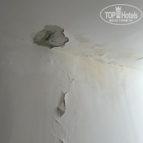 фото из отзыва ID 2385198