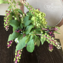 фото из отзыва ID 2385215