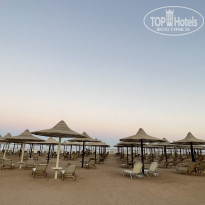 фото из отзыва ID 2385273