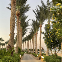 фото из отзыва ID 2385273