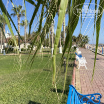 фото из отзыва ID 2385275