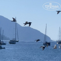 фото из отзыва ID 2385310