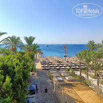 фото из отзыва ID 2385157