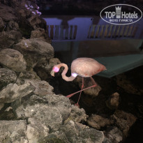 фото из отзыва ID 2385288