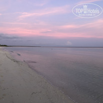 фото из отзыва ID 2385288