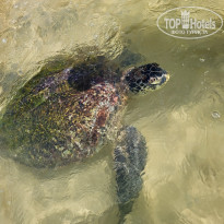 фото из отзыва ID 2385346