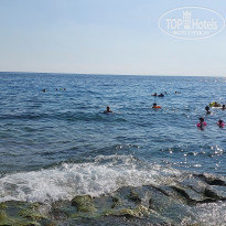 фото из отзыва ID 2385407