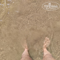 фото из отзыва ID 2385153