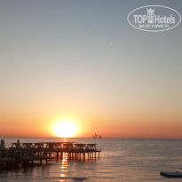 фото из отзыва ID 2385441