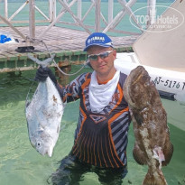 фото из отзыва ID 2384916