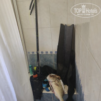 фото из отзыва ID 2384916