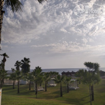 фото из отзыва ID 2385515